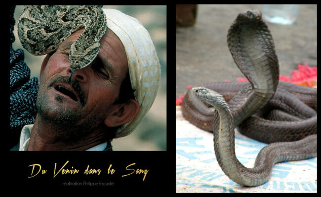 Extrait vidéo du documentaire Du venin dans le Sang diffusé sur Arte