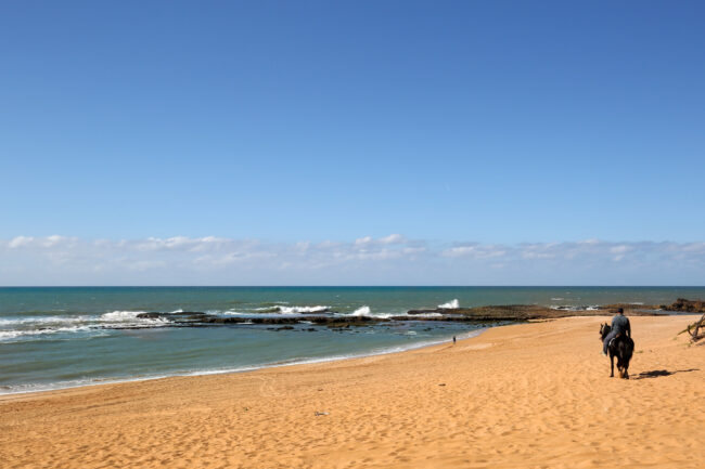 oualidia plage cheval
