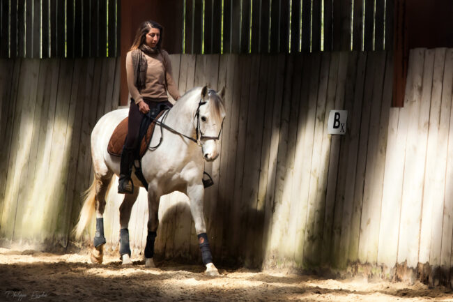 949A3860 1500.meddleybien.site