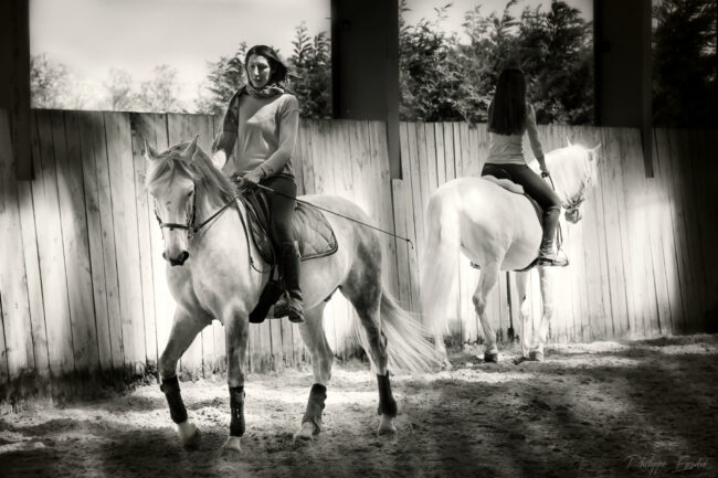 949A4097 jenny ambre 5.1500.site