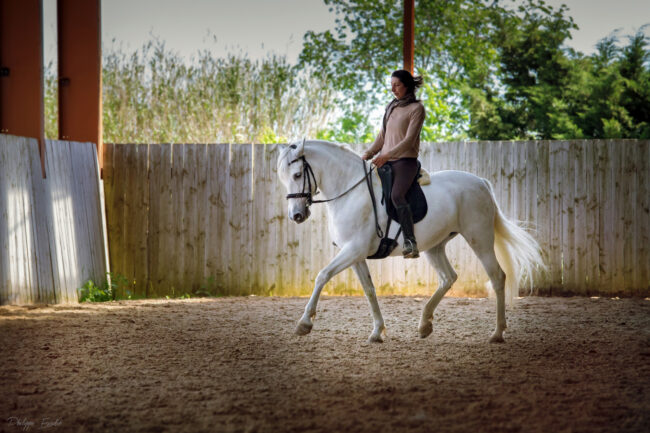 949A4287 moinsjaune2.1500.site