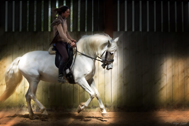 949A4313 contrast.2048.site