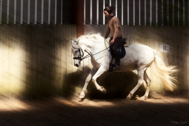 949A4396 joue refaite 2048.site 1