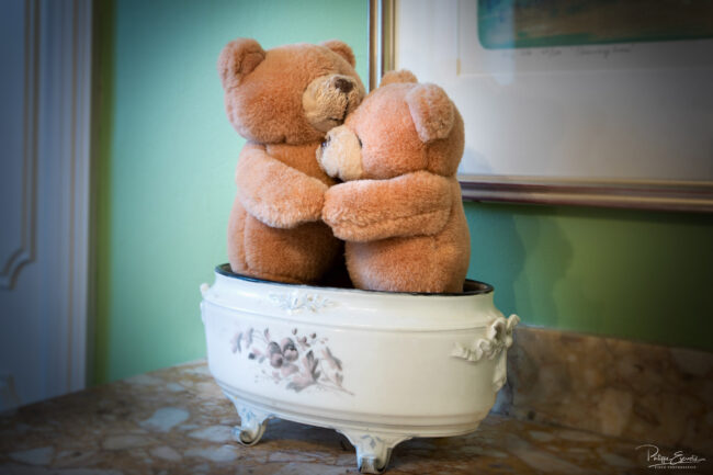 Photos immobilières du mois 9 Deux petits oursons en peluche enlacés