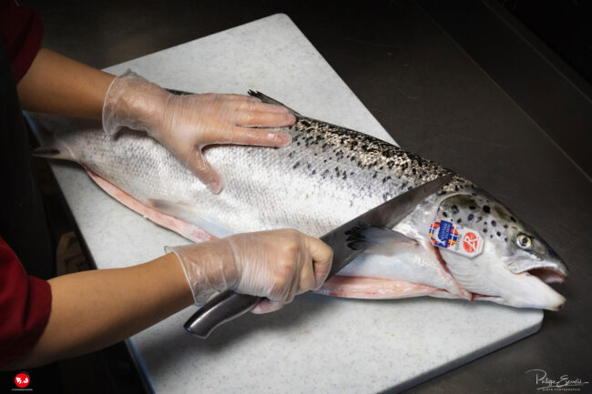 restaurant japon saumon