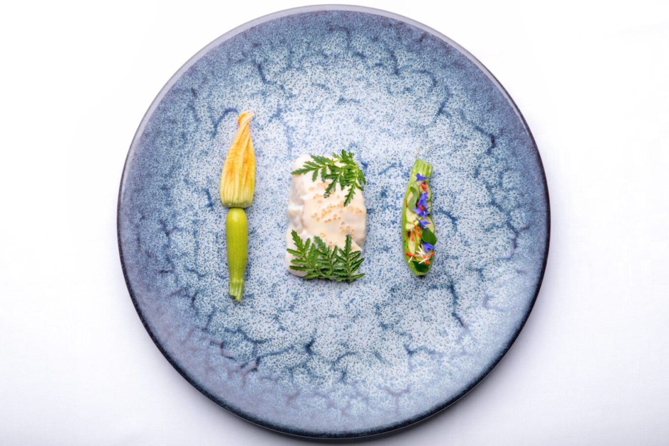 grande assiette bleue vue de dessus avec dedans une fleur de courgette, un poisson avec une crème blanche dessus et une courgette fleurie