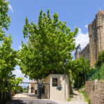 Entrée d'un propriété avec un portail en fer noir, de la végétation autour et sur la droite la Cité de Carcassonne